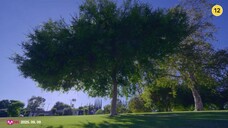 Day6 "Our Season" M/V