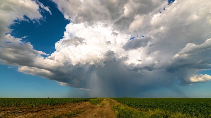 “Menyendiri itu cuma karena males bersosialisasi, aku juga pengin keluar dan melihat dunia.”
