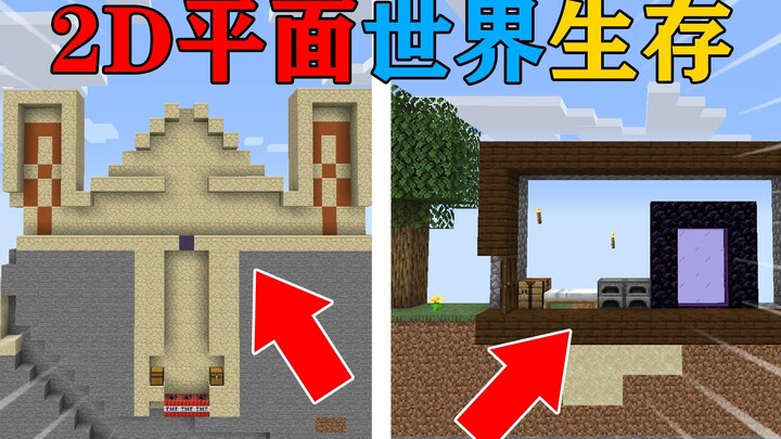 MC: Khi cả thế giới biến thành “mặt phẳng 2D”? Địa ngục và The End đều là thế giới 2D! Minecraft Min