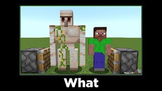 Minecraft wait what meme #1 (iron golem + steve =?)