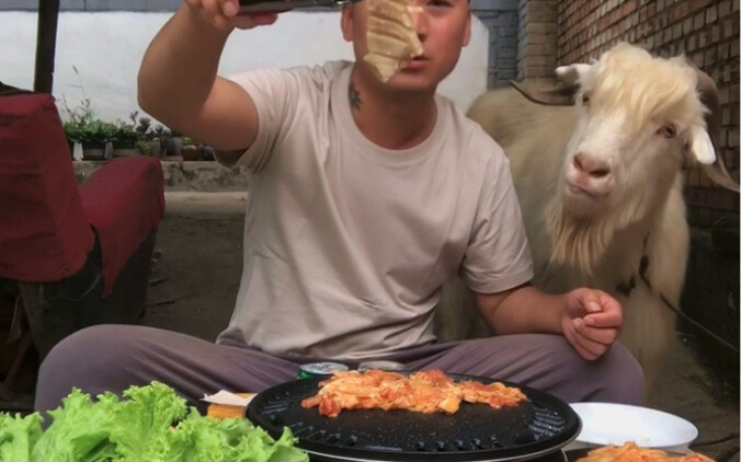 Dẫn cừu đi ăn nướng mệt quá