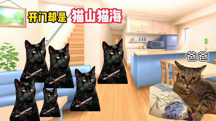 【Meme mèo】Mẹ trong gia đình anh Sàng Diệp hóa ra lại là ông vua人气 của mùa hè?