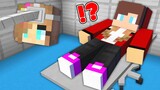Who Shapeshift MAIZEN into GIRL? - Funny Story in Minecraft (JJ,Mikey,Cash and Nico)