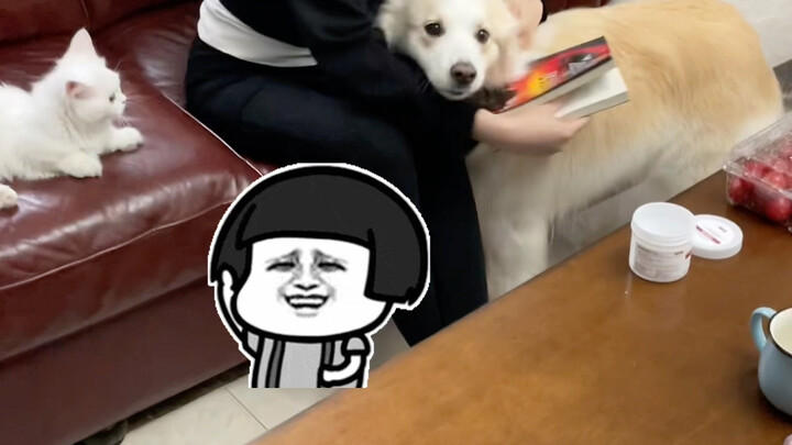 คำถามสะท้านจิตของเฉินเบล่า