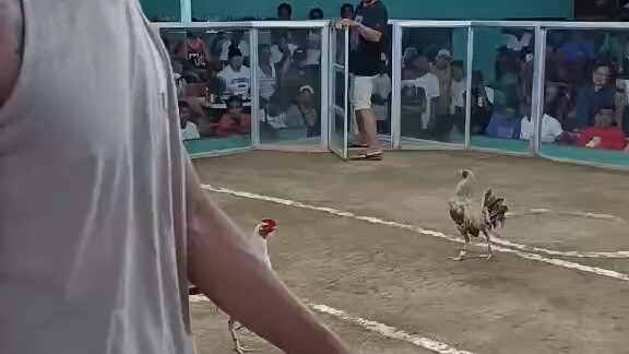 Buyer’s Update first fight  Kanawayon BF x Sweater Grey (TALO) 🤦🏼‍♂️#tatakjshbackyard #fyp