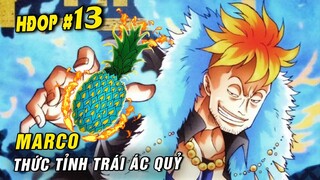 Trái Ác Quỷ quay ngược thời gian ? - Phượng hoàng Marco thức tỉnh ? - Hỏi đáp One Piece #13