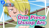 One Piece
Ussop Arc_1