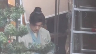 青葱的小碎刘海，稚奴～