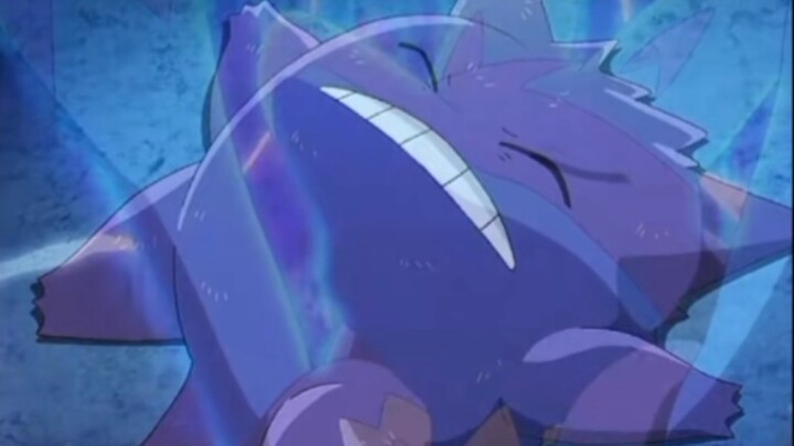 How could Lucario live up to everyone's efforts?
