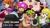 Review Phim One Piece SS20 - P19,20 ARC WANO | Tóm tắt Phim Đảo Hải Tặc Tập 976-985