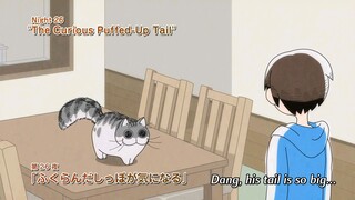 Yoru Wa Neko To Issho Ep26