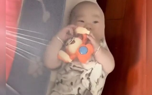 بابا يحرس الأطفال، المهم أن يظل حياً!