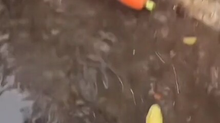 ฉันทนเห็นคนอื่นร้องไห้ไม่ได้ พอเขาเริ่มร้อง ฉันกลับอยากหัวเราะแทน