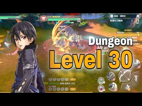 TIPS Dungeon LEVEL 30 Sword Art Online Blackswordsman ACE