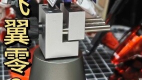 RG บินปีกซีโร่ × ยุบไอรอนโรบินสี