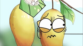 An inconspicuous little insect prevents foreign mangoes from entering the country