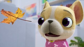 Lucas Spider: Bisakah rumah bernapas? Saya juga memakan es krim anak anjing saya yang sedang tumbuh 