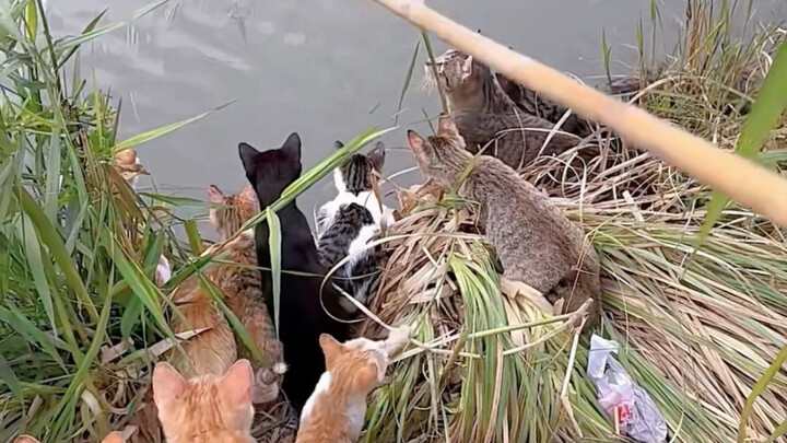 I didn’t catch many fish, but I did make a few good friends!