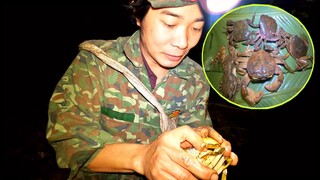 SINH TỒN TRONG RỪNG MÙA ĐÔNG | Tâp49 | MỘT MÌNH TÌM KIẾM THỨC ĂN DƯỚI TRỜI MƯA LẠNH GIÁ | SURIVAL