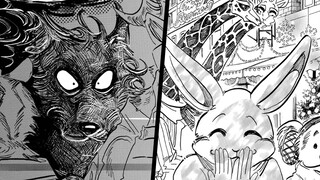 The last chase before the decisive battle, I love you, I will definitely say it out loud [BEASTARS/B