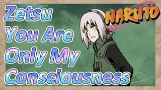 Zetsu You Are Only My Consciousness