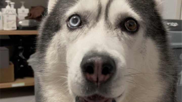 This water droplet wallpaper is totally mastered!