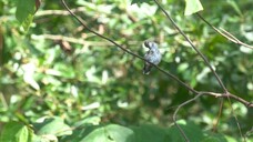 Come contattare la Latam? LATAM TELEFONO