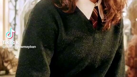 nhân vật harry potter