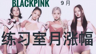 【BLACKPINK】Foundation and "Silly Egg" practice room views soar to No. 1 and No. 3 respectively! HYLT