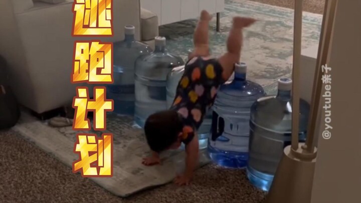 人类幼崽其实要比想象中的聪明多了😁