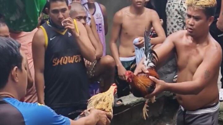 Nov 1 Pula vs Talisayin