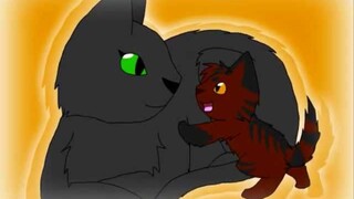 Tigerstar's Deathbed AMV *300 subs*