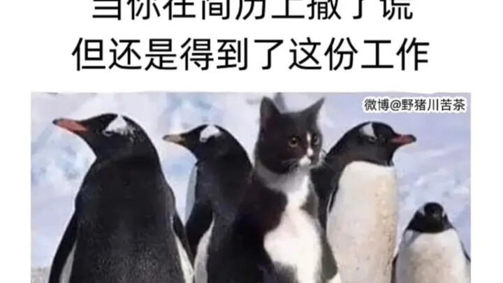 It’s — Fantasy Time!