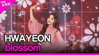 HWAYEON, blossom (화연, blossom) [THE SHOW 220517]