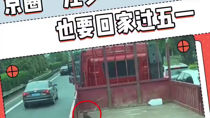 总裁的五一早晨：开着京A法拉利大货车回家