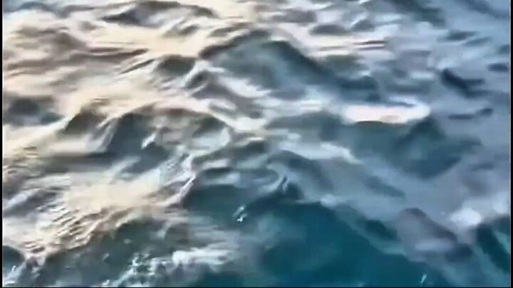 มีแค่ 1 ใน 1,000,000 #ไม่น่าเชื่อ #viralvideo #viralshorts #เล่าเรื่อง #funny #ต