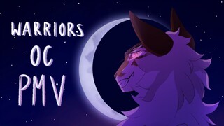 meteor shower x blah blah blah | warriors pmv