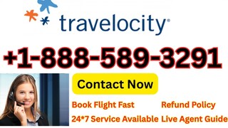 Official Traveloci𝓽𝔂™️ Support Numbers in the USA (2025): A Fast & Easy Contact Guide