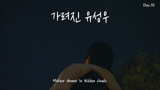 Day.10 가려진 유성우