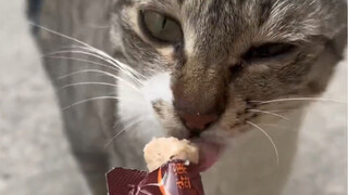 怎么喂着喂着突然变色了……