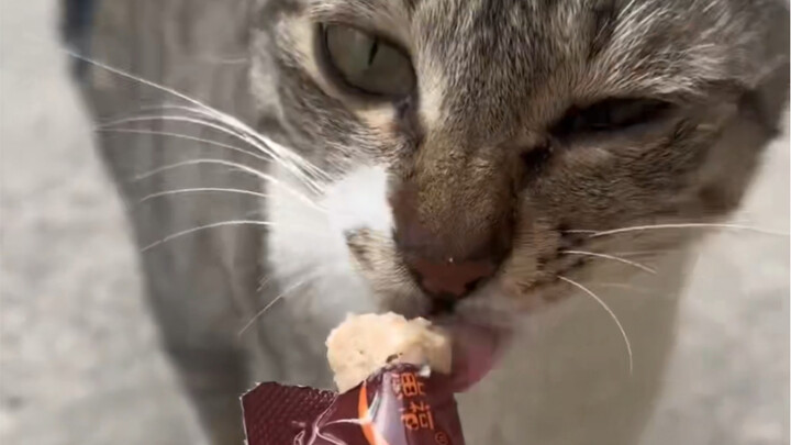 ทำไมให้อาหารไปเรื่อยๆ จู่ๆ สีก็เปลี่ยนไปล่ะ...