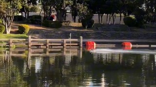 Bebek sungguhan sangat terkejut.