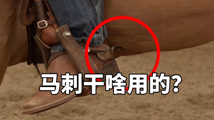 The Spurs poke the horse in the belly—does the horse really not feel any pain?