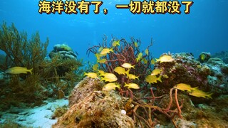 Without the ocean, everything is gone.