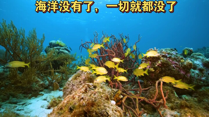 Without the ocean, everything is gone.
