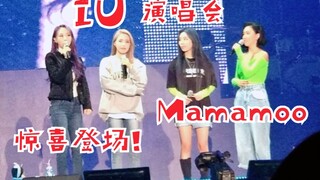 出现在IU演唱会上的Mamamoo！作为嘉宾惊喜登场！