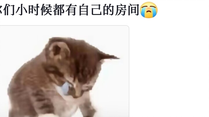 Những món đồ thời thơ ấu~