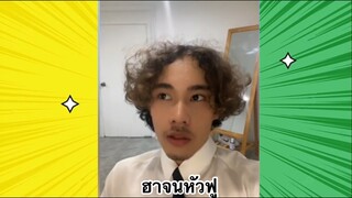 เรื่องตลกสุดฮา : ฮาจนหัวฟู