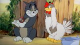 "Dự án Tom và Jerry Ⅴ"——Dự án Tom & Jerry Ⅴ