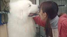 Bicycling Mellow Love (2022) ร้านจักรยานของทาคาฮาชิคุง EP 5 [ซับไทย]